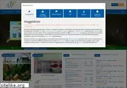 Sites similar to akvaryum.com