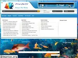 Sites similar to akvaryumbilgi.net