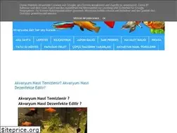 Sites similar to akvaryumcuk.blogspot.com