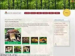 Sites similar to akyamantar.com
