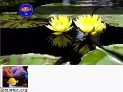 Sites similar to alabamaaquarium.com