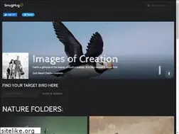 Sites similar to alabamabirder.com