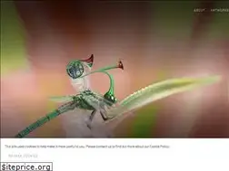 Sites similar to alainlacki.com
