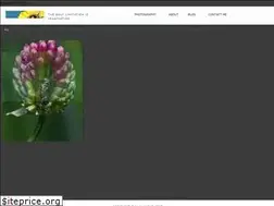 Sites similar to alanamous.com