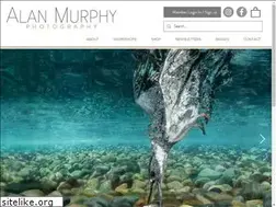 Sites similar to alanmurphyphotography.com