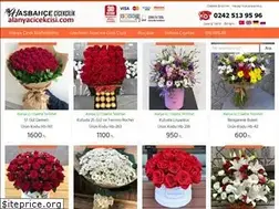 Sites similar to alanyacicekcisi.com