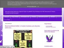 Sites similar to alaraunlu.blogspot.com