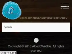 Sites similar to alcedowildlife.com
