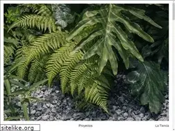 Sites similar to aldabajardines.com