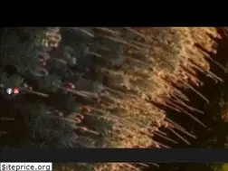 Sites similar to aldiladellospecchio.it
