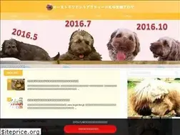 Sites similar to aldooddle.com