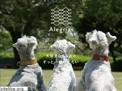 Sites similar to alegriasdog.com