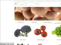 Sites similar to alehonline.co.il