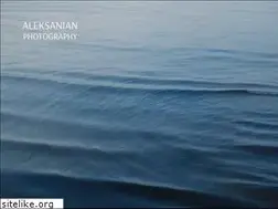 Sites similar to aleksanianphotography.com