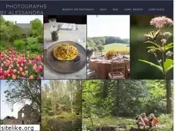Sites similar to alessandranicole.com