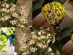 Sites similar to alexandercoggin.com