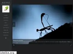 Sites similar to alexanderwild.com