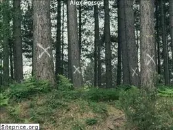 Sites similar to alexforsey.com