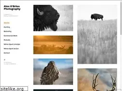 Sites similar to alexobrien.com