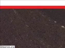 Sites similar to alfatehnica.ru