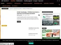 Sites similar to alfoldiregiomagazin.hu
