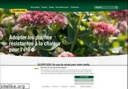 Sites similar to algoflash.fr