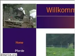 Sites similar to ali-bucher.de