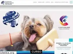 Sites similar to alianzformacion.com
