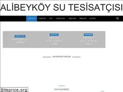 Sites similar to alibeykoysutesisatci.com