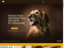 Sites similar to alicanteadopta.org