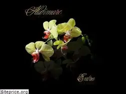 Sites similar to alidimare.net