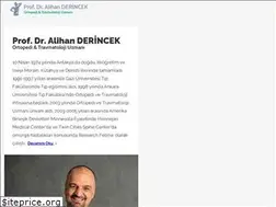 Sites similar to alihanderincek.com