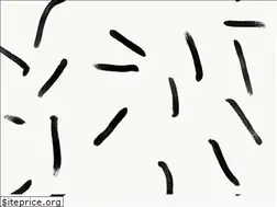 Sites similar to aliludesign.com