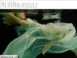 Sites similar to alinablasquez.nl