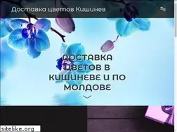 Sites similar to aliridesign.md