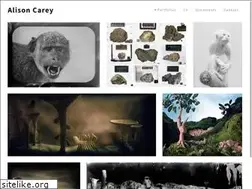 Sites similar to alisoncarey.com