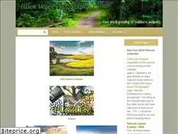 Sites similar to alisonmeyerphotography.com