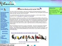 Sites similar to all-birds.com