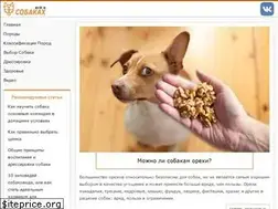 Sites similar to allaboutdogs.ru
