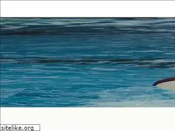 Sites similar to allegria-resort.com
