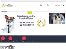 Sites similar to allendeshnos.cl