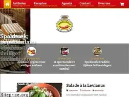 Sites similar to allesoversambal.nl