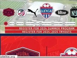Sites similar to alleycatsoccer.com