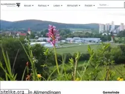 Sites similar to allmendingen.de
