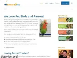Sites similar to allpetbirds.com