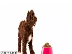 Sites similar to allshepherd.com