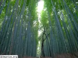 Sites similar to allurespasalon.com