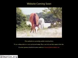 Sites similar to allyandroid.com