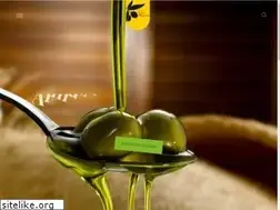 Sites similar to almazara.com