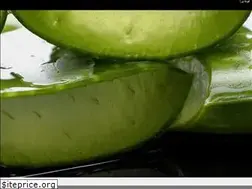 Sites similar to aloepardis.ir